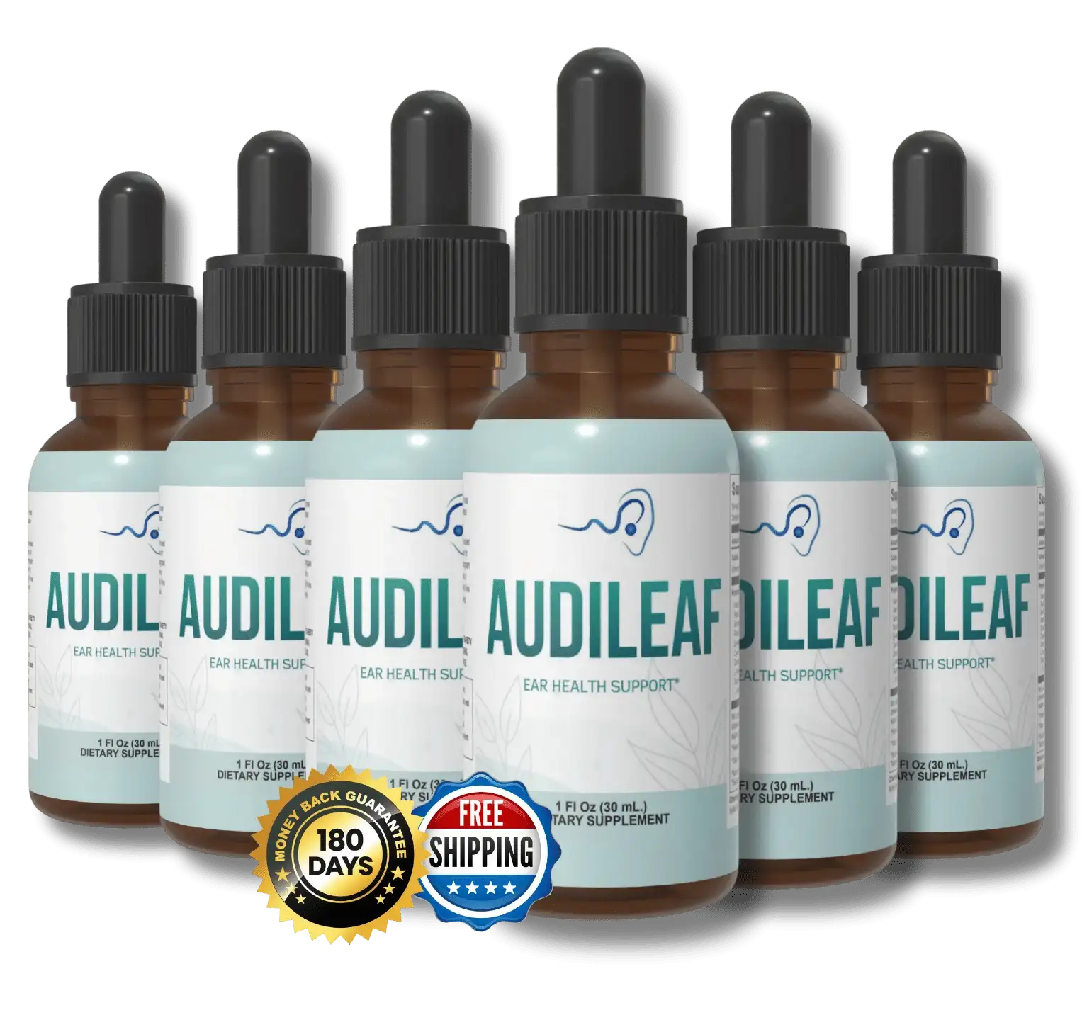 AudiLeaf Buy